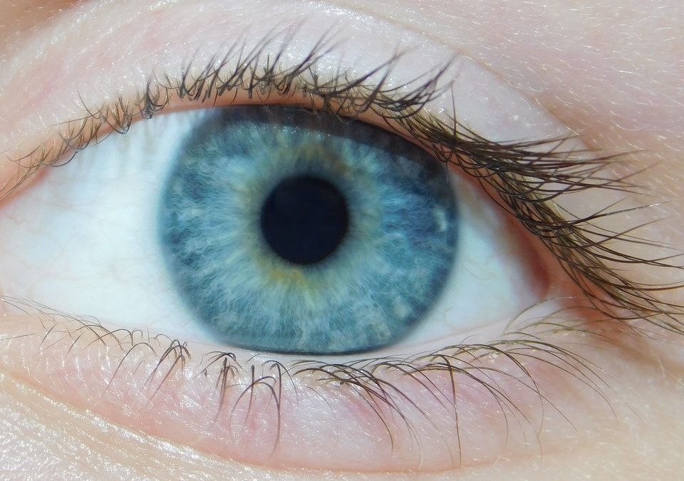 edema maculare diabetico occhio